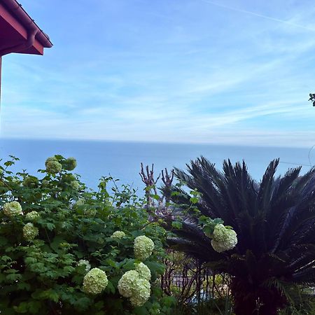 Villa Cielo Costarainera Dış mekan fotoğraf