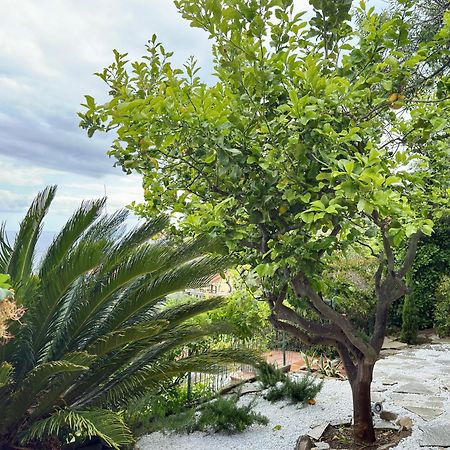 Villa Cielo Costarainera Dış mekan fotoğraf