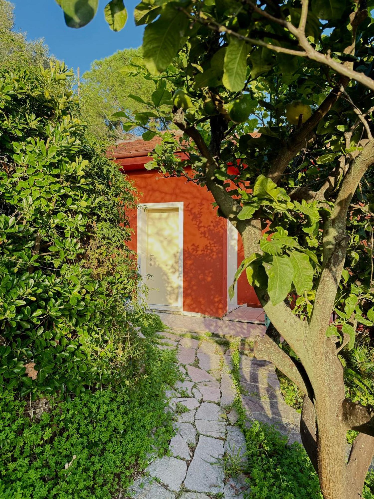 Villa Cielo Costarainera Dış mekan fotoğraf