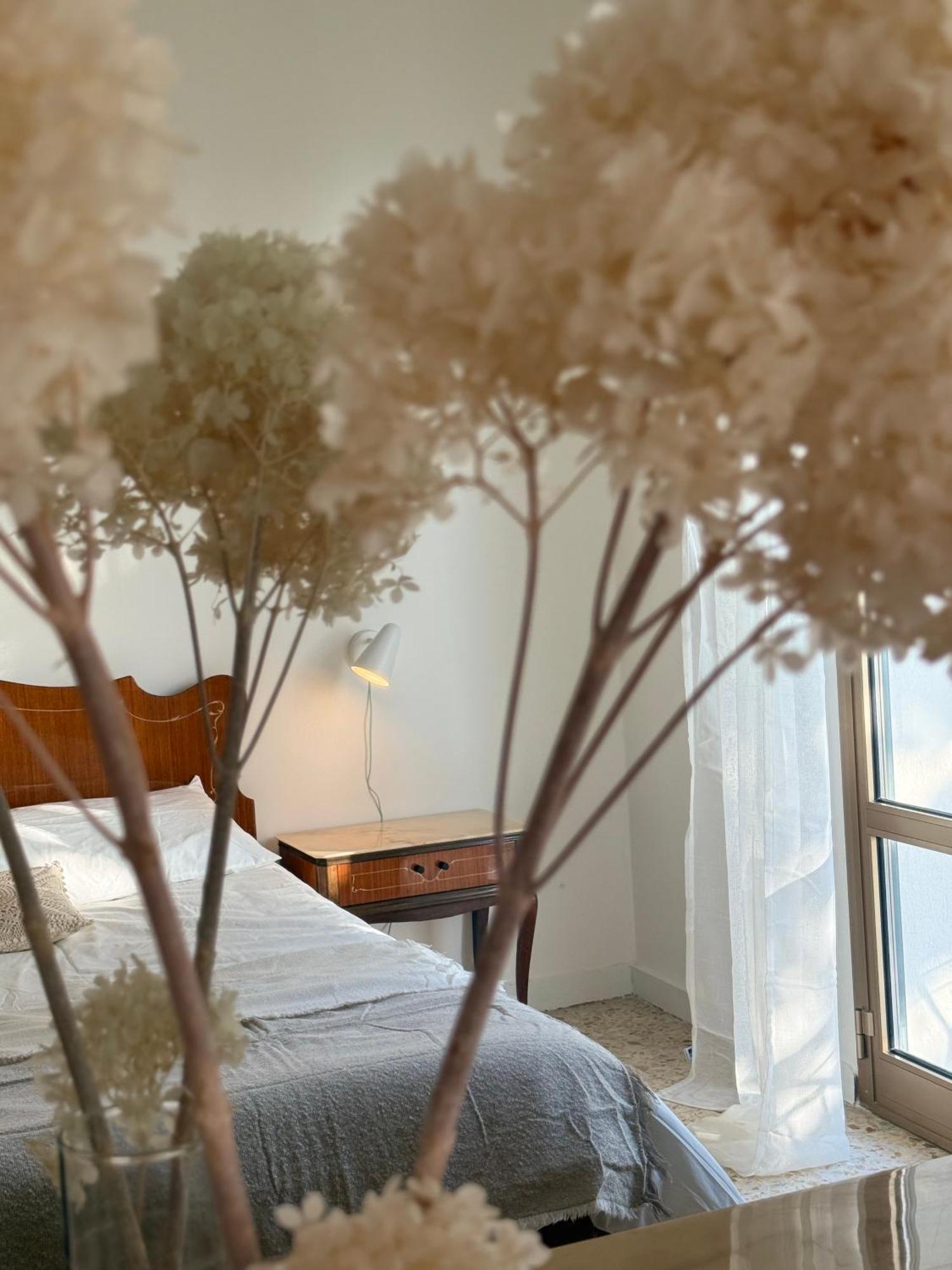 Villa Cielo Costarainera Dış mekan fotoğraf