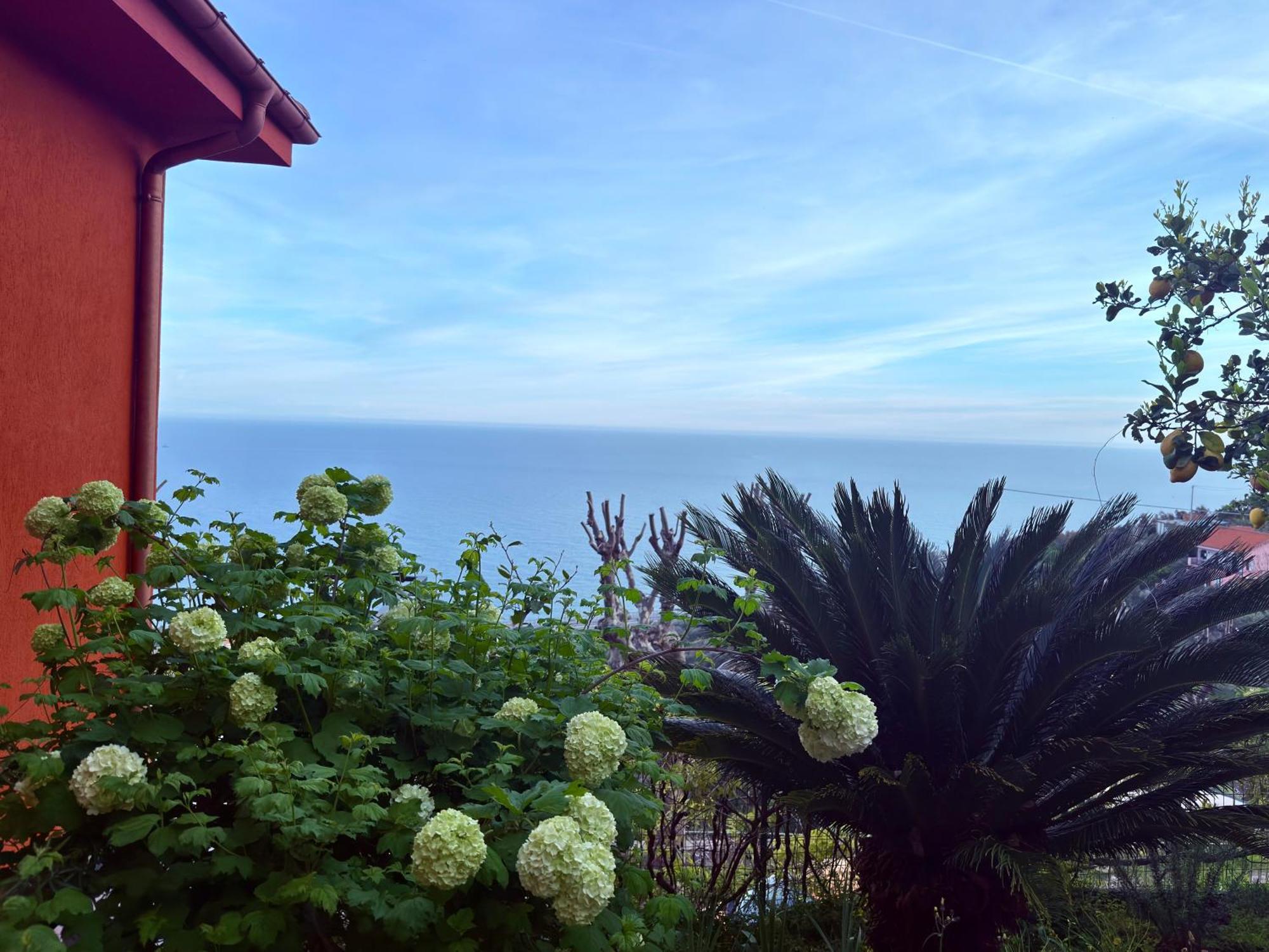 Villa Cielo Costarainera Dış mekan fotoğraf